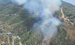 İzmir'in ciğerleri alev alev!