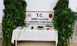İzmir'de uyuşturucu operasyonunda 1 tutuklama