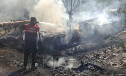 Kütahya’da yangın; 2 büyükbaş hayvan öldü