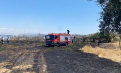 Manisa'da ot yangınında 50 dönüm alan zarar gördü