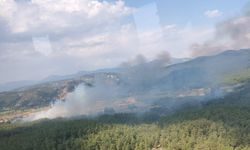 Muğla'da tarım arazisinde çıkan yangın ormana sıçradı!