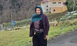 'Ot biçme' kavgasında kan aktı: 1 ölü, 2 yaralı