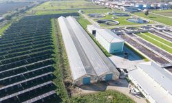 Türkiye’de öncü proje: Çamur enerjiye dönüşecek!