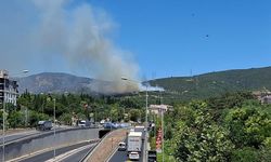 İzmir'de ormanlık alanda yangın!