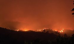 İzmir'in oksijen deposunda en zor gece!