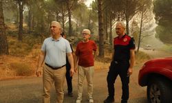 Başkan Çelik son durumu anlattı: Bölgedeki en büyük ormanlardan birisi yandı!
