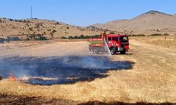Afyonkarahisar'da anız yangını: 200 dekar zarar gördü