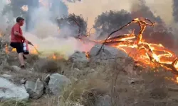 Antalya'da korkutan orman yangını!