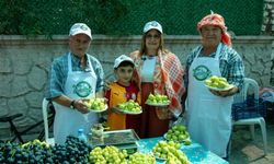 Payamlı’da bardacık şöleni: Festivalde kazanan belli oldu