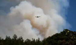 Balıkesir'de orman yangını!