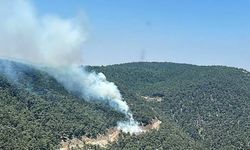 Manisa'da çıkan orman yangınına müdahale ediliyor