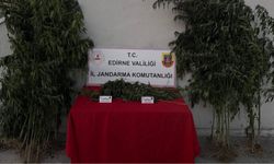 Kenevir sularken yakalandı!