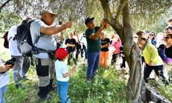 Yeşil alanlar 103 etkinlikle kentin buluşma noktası oldu