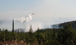 Çanakkale'de orman yangını