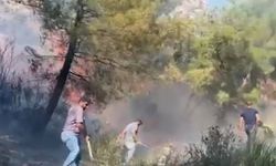 Hatay'da orman yangını!