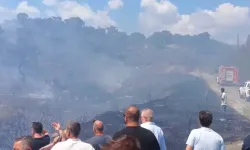 Balıkesir'de orman yangını!