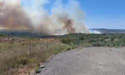 Gebze'de orman yangını