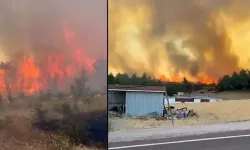 Çanakkale'de orman yangını!