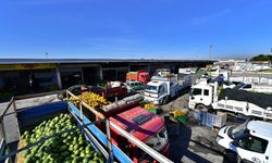 İzmir Hali’nde konkordato şoku: Gıda şirketi iflas bayrağı çekti!