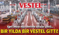 Egeli beyaz eşya devinde satışlar çöktü… Bir yılda bir Vestel gitti