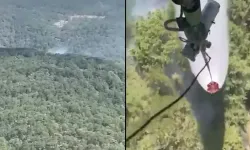 Balıkesir'de orman yangını!