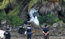 Güney Kore'nin turistik adasında kayıp vakaları krizi: 4 kişi ölü bulundu!