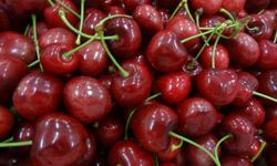 Kiraz ihracatında 2025 yılının yaraları sarıldı!