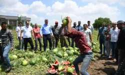 Üretici kan ağladı… Fide parası bile çıkmadı!