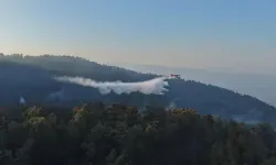 Aydın'daki orman yangını 2'nci gününde