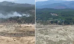 Bursa'da orman yangını!