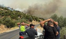 Aydın'daki orman yangını 2'nci gününde