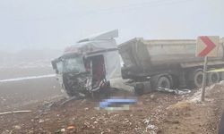 İki tırın çarpışması sonucu bir kişi yaralandı!