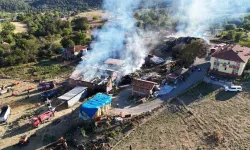 Kastamonu'da çıkan yangında 14 büyükbaş hayvan telef oldu