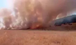 Tunceli'de ot yangını!