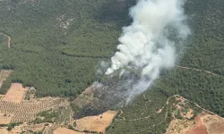 Muğla'da orman yangını!