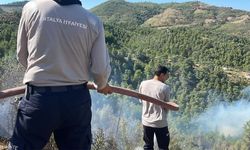 Alanya'da çıkan orman yangınına müdahale ediliyor