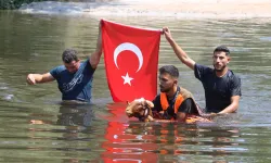 Denizli'de 8 asırlık gelenek: koyunlarını nehirden geçirdiler!