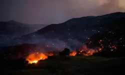 Fransa'nın güneydoğusunda yangın: 2 bin 500 kişi tahliye edildi