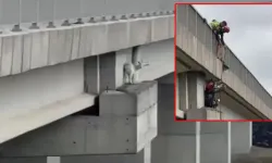 Kuzey Marmara Otoyolu’nda keçi kurtarma operasyonu!
