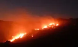 Afyonkarahisar’da orman yangını!