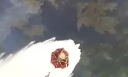 Balıkesir'deki orman yangını kontrol altında!