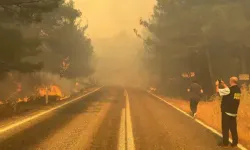 Bakan Yumaklı bilançoyu açıkladı… Son üç günde 260 yangın!