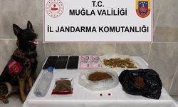 Muğla'da uyuşturucuya geçit yok: 33 tutuklama