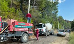 Muğla'da orman yangını!