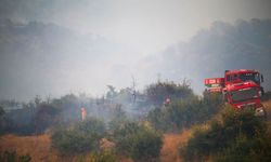 Uşak'ta yangın paniği: Müdahale sürüyor