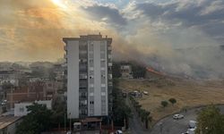 İzmir'de otluk alanda çıkan yangına müdahale ediliyor