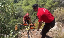 Muğla'da bir kişi ormanlık alanda ölü bulundu