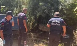 Direksiyon hakimiyetini kaybetti: Traktör şarampole devrildi