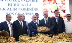 Aydın'da sezonun ilk kuru inciri kilogramı 850 liradan satıldı
