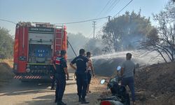 Zeytinlik alanda çıkan yangın kontrol altında!